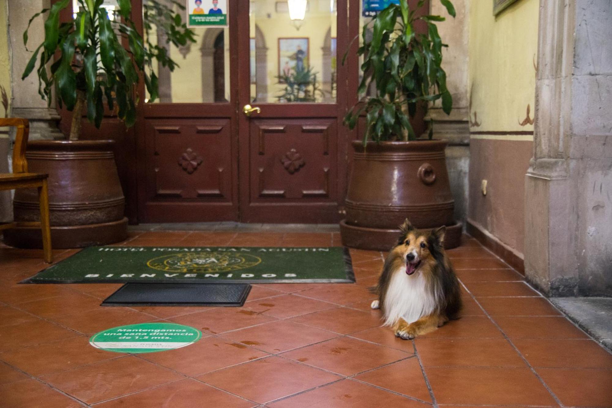 Hotel Posada San Agustin Durango Ngoại thất bức ảnh