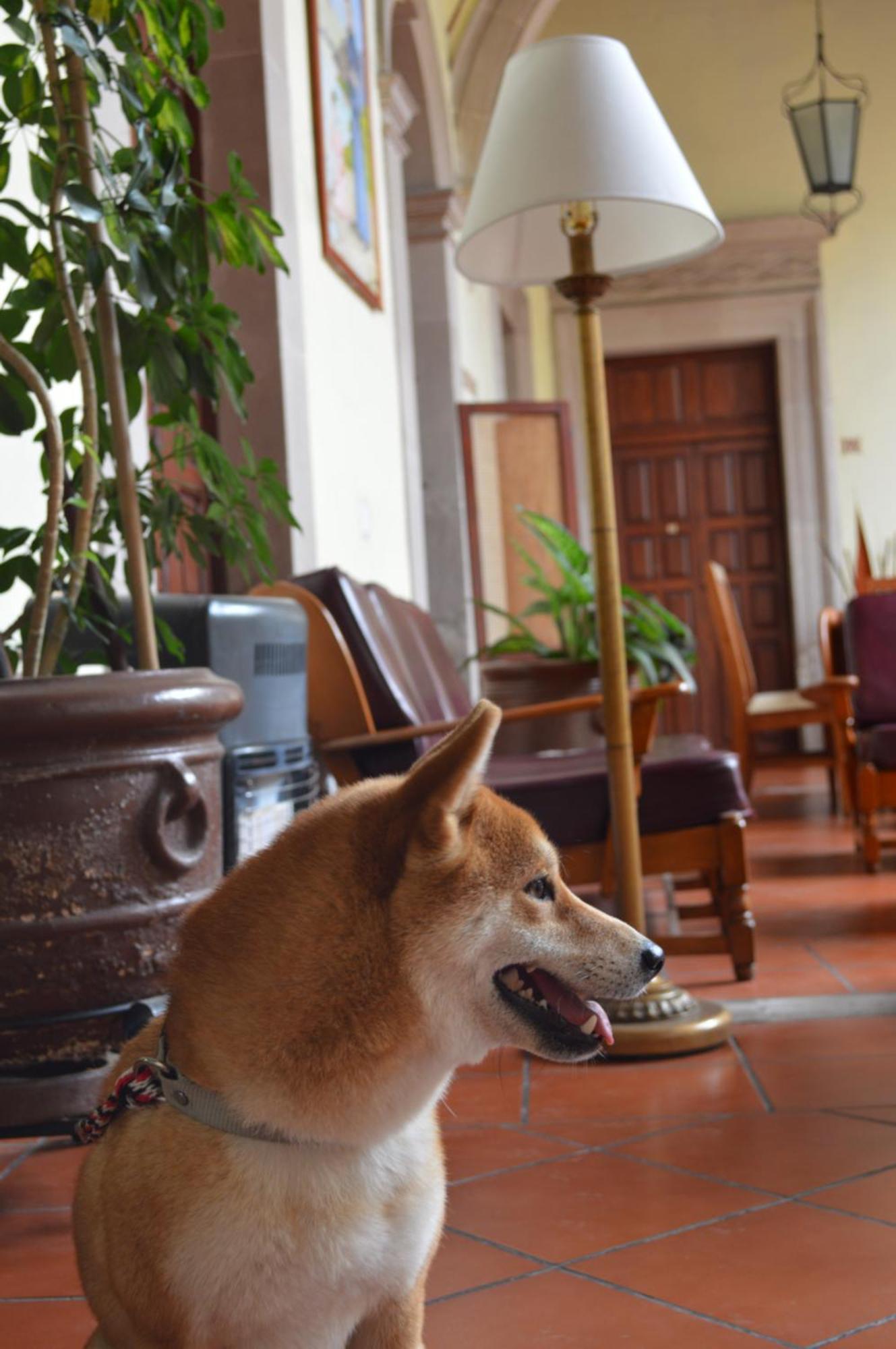 Hotel Posada San Agustin Durango Ngoại thất bức ảnh