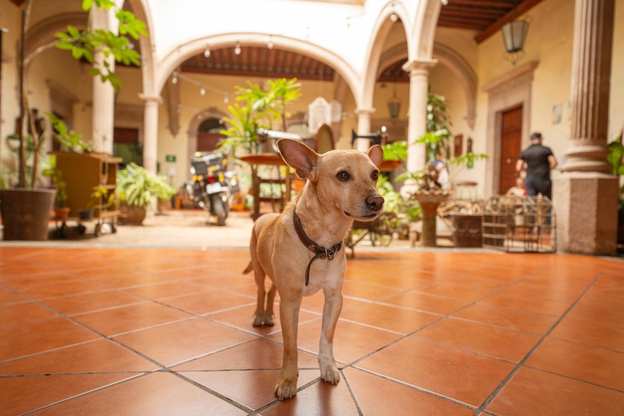 Hotel Posada San Agustin Durango Ngoại thất bức ảnh